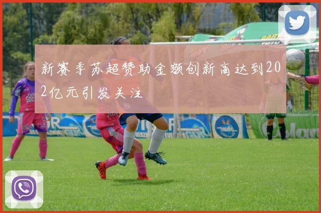 新赛季苏超赞助金额创新高达到202亿元引发关注