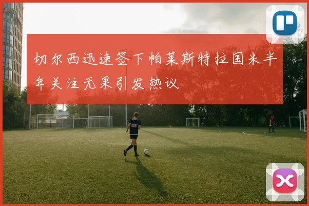 切尔西迅速签下帕莱斯特拉国米半年关注无果引发热议